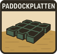 Paddockplatten – Matschfreie Böden bei jedem Wetter