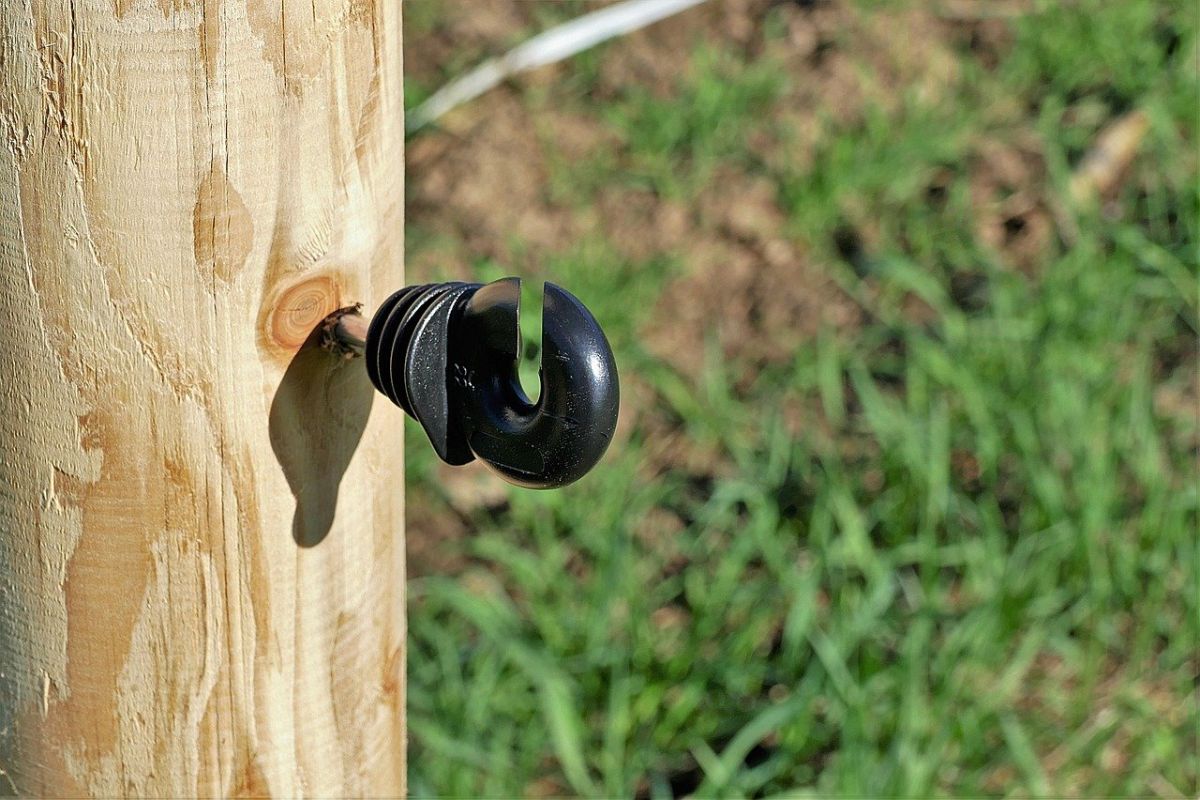 Ringisolator